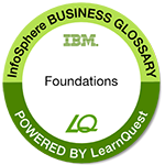 LearnQuest IBM InfoSphere Business Glossary Essentials